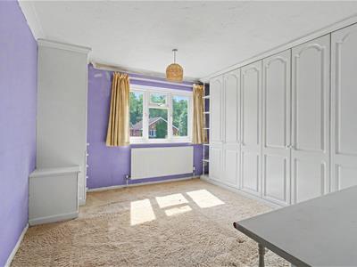 Picture 13